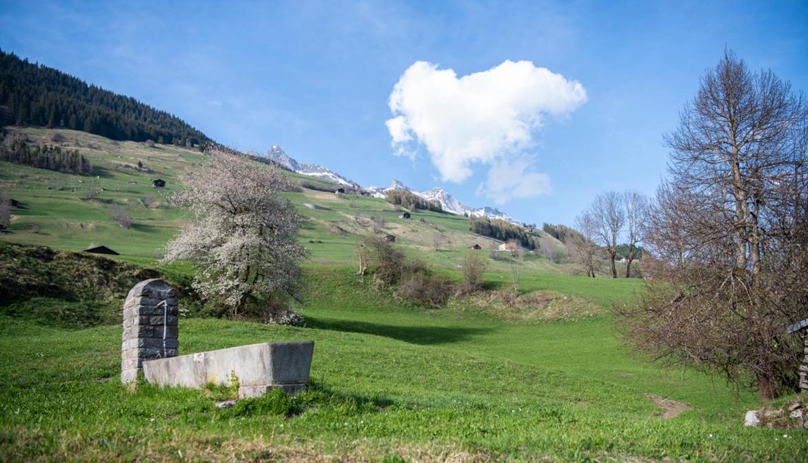 Casa Pasch - Boutique Bed And Breakfast In Cumpadials Sumvitg Εξωτερικό φωτογραφία